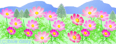 bd_cosmos9